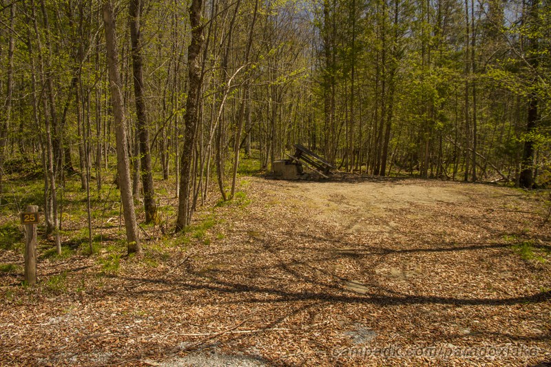 Campsite Photo of Site 25 at Paradox Lake Campground, New York - Looking at Site from Road Sign Visible