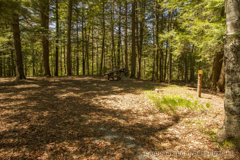Campsite Photo of Site 55 at Paradox Lake Campground, New York - Looking at Site from Road Sign Visible