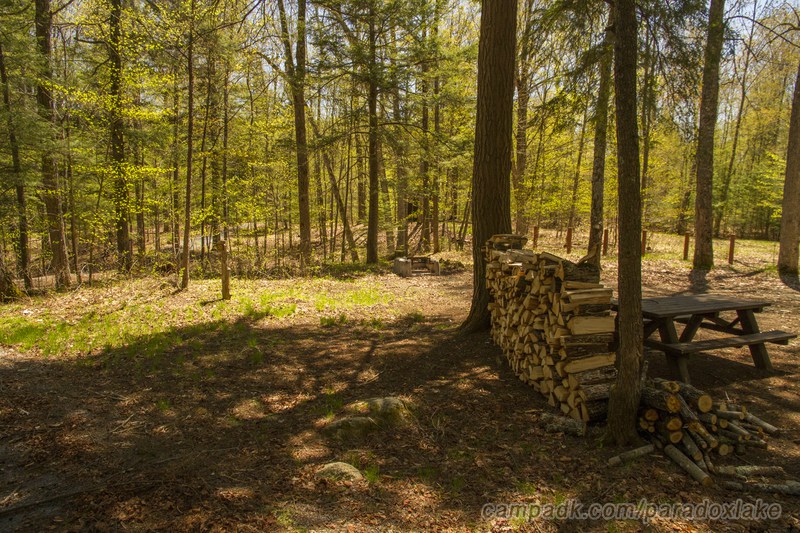 Campsite Photo of Site 50 at Paradox Lake Campground, New York - Looking at Site from Road Sign Visible