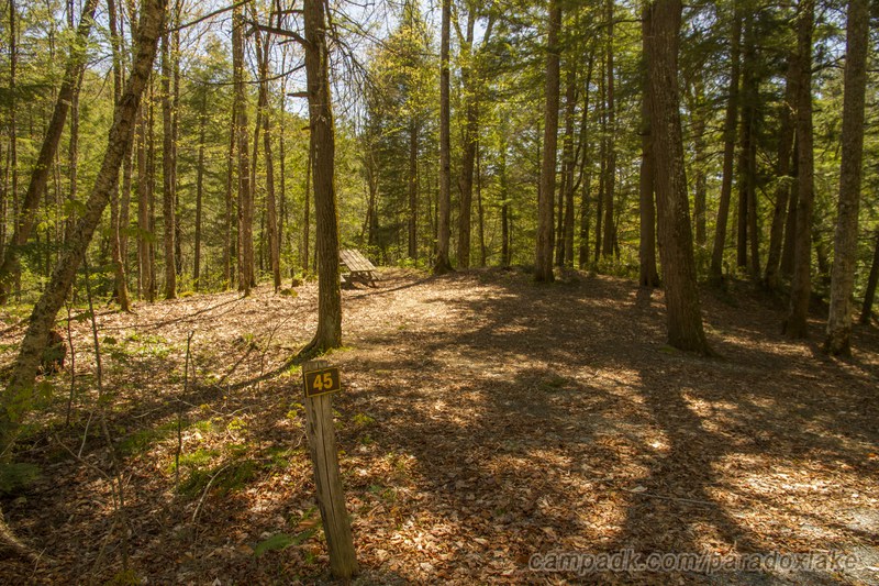 Campsite Photo of Site 45 at Paradox Lake Campground, New York - Looking at Site from Road Sign Visible