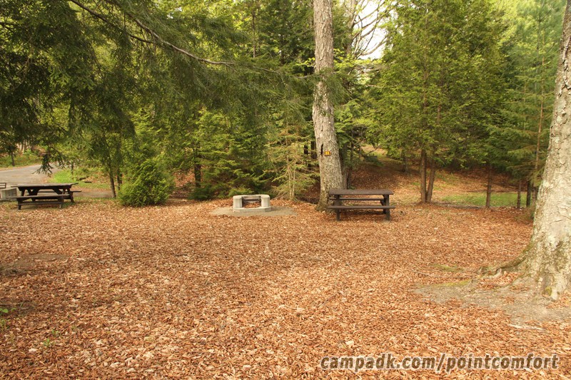 Campsite Photo of Site 73 at Piseco Lake Campground, New York - Looking at Site from Road Sign Visible