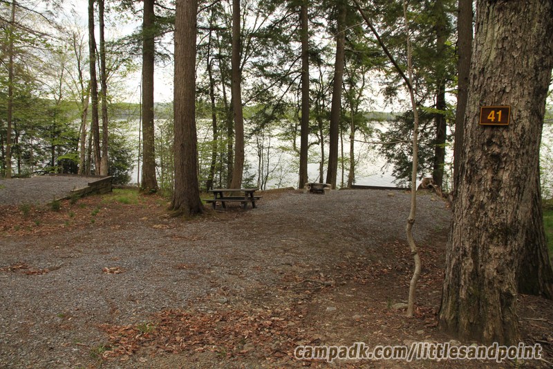 Campsite Photo of Site 37 at Piseco Lake Campground, New York - Looking at Site from Road Sign Visible