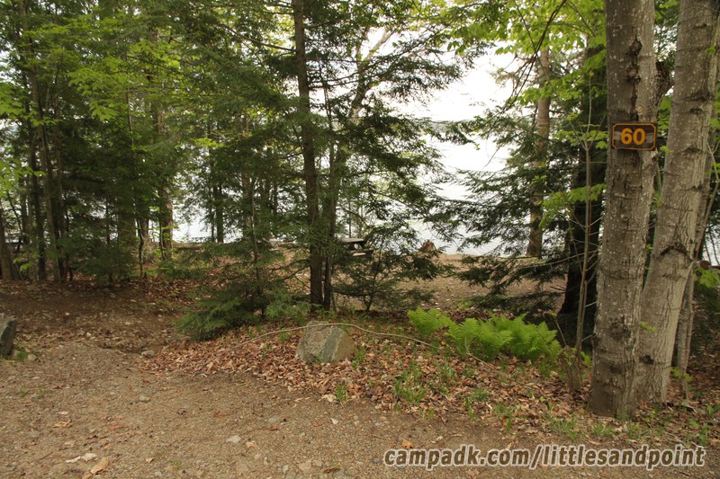 Campsite Photo of Site 48 at Piseco Lake Campground, New York - Looking at Site from Road Sign Visible