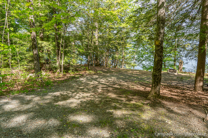 Campsite Photo of Site 58 at Piseco Lake Campground, New York - Looking at Site from Road Sign Visible