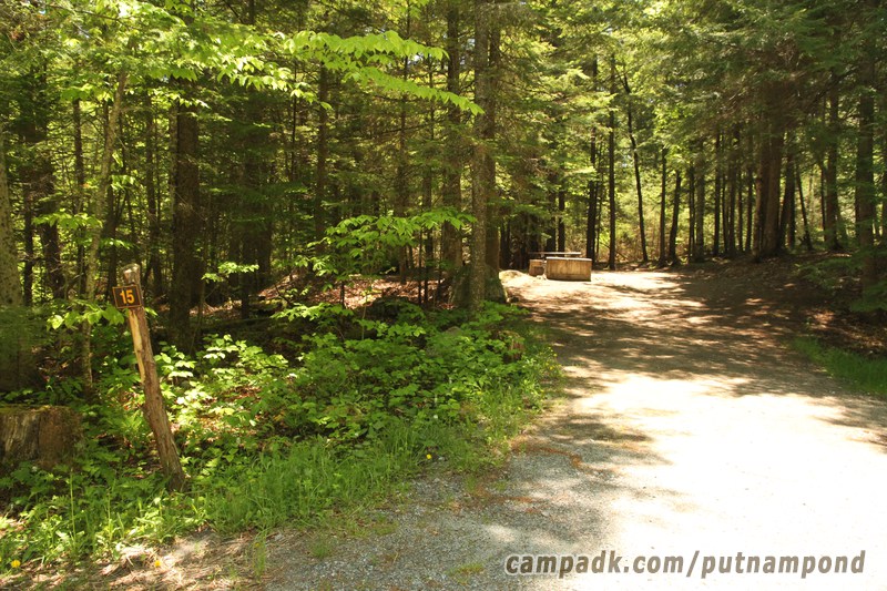 Campsite Photo of Site 15 at Putnam Pond Campground, New York - Looking at Site from Road Sign Visible
