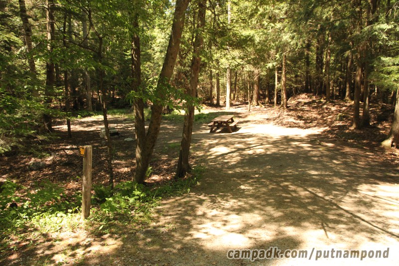 Campsite Photo of Site 50 at Putnam Pond Campground, New York - Looking at Site from Road Sign Visible