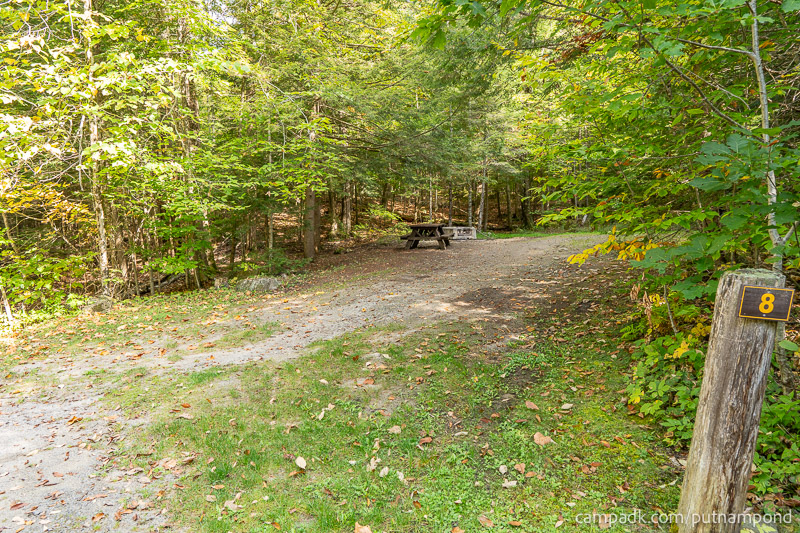 Campsite Photo of Site 8 at Putnam Pond Campground, New York - Looking at Site from Road Sign Visible