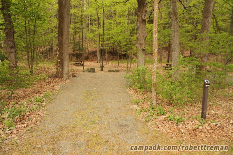 Campsite Photo of Site 42 at Robert H Treman State Park, New York - Looking at Site from Road Sign Visible