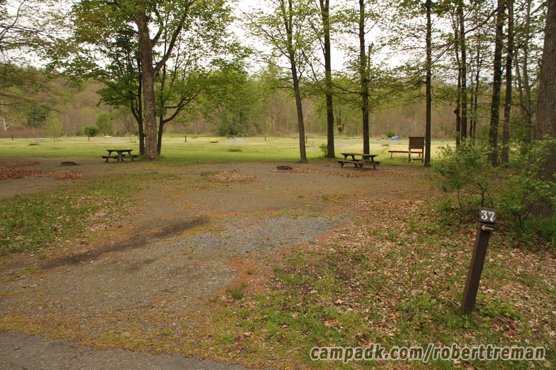 Campsite Photo of Site 37 at Robert H Treman State Park, New York - Looking at Site from Road Sign Visible