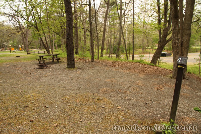 Campsite Photo of Site 17 at Robert H Treman State Park, New York - Looking at Site from Road Sign Visible