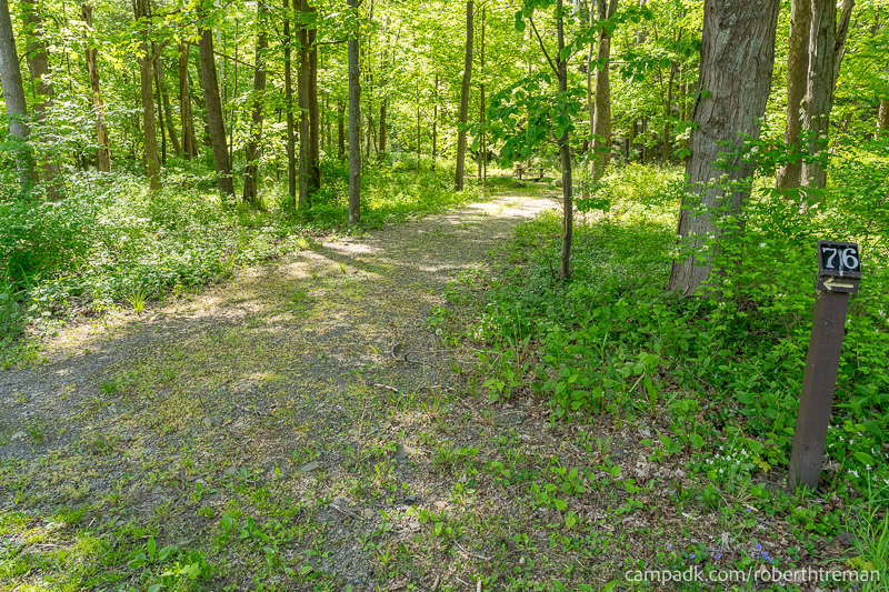 Campsite Photo of Site 76 at Robert H Treman State Park, New York - Looking at Site from Road Sign Visible
