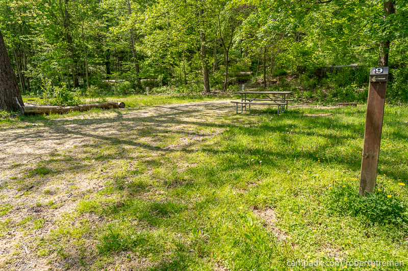Campsite Photo of Site E9 at Robert H Treman State Park, New York - Looking at Site from Road Sign Visible