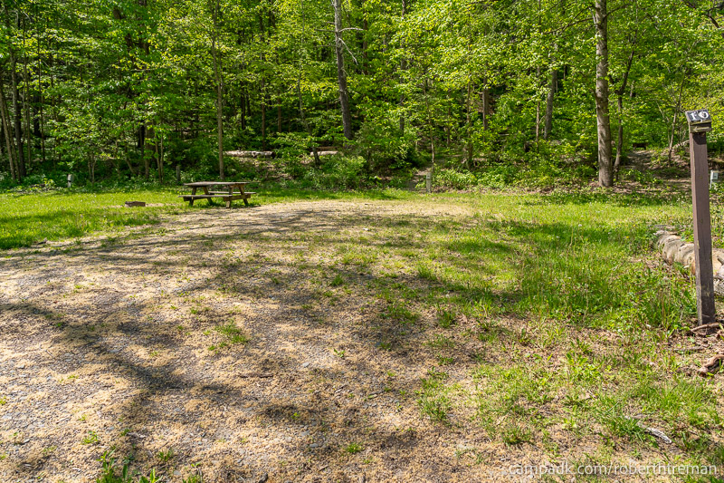 Campsite Photo of Site E10 at Robert H Treman State Park, New York - Looking at Site from Road Sign Visible