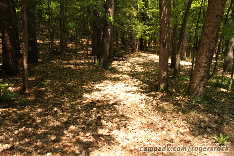 Campsite Photo of Site 10 at Rogers Rock Campground, New York - Looking at Site from Road Sign Visible