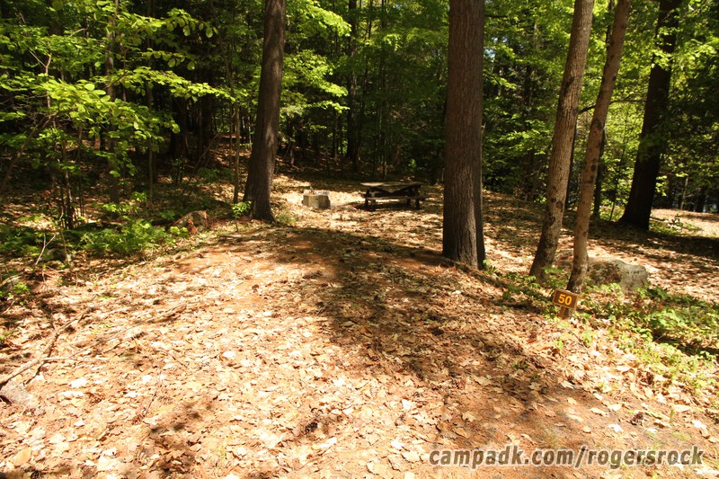 Campsite Photo of Site 50 at Rogers Rock Campground, New York - Looking at Site from Road Sign Visible