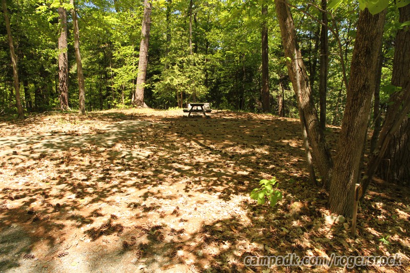 Campsite Photo of Site 128 at Rogers Rock Campground, New York - Looking at Site from Road Sign Visible