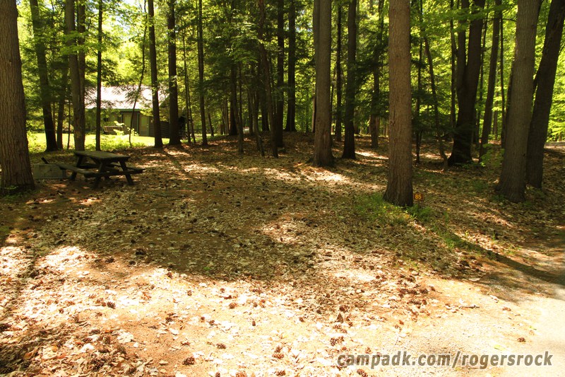 Campsite Photo of Site 85 at Rogers Rock Campground, New York - Looking at Site from Road Sign Visible