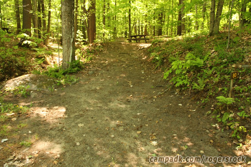 Campsite Photo of Site 80 at Rogers Rock Campground, New York - Looking at Site from Road Sign Visible