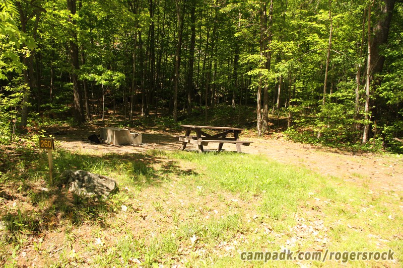 Campsite Photo of Site 260 at Rogers Rock Campground, New York - Looking at Site from Road Sign Visible