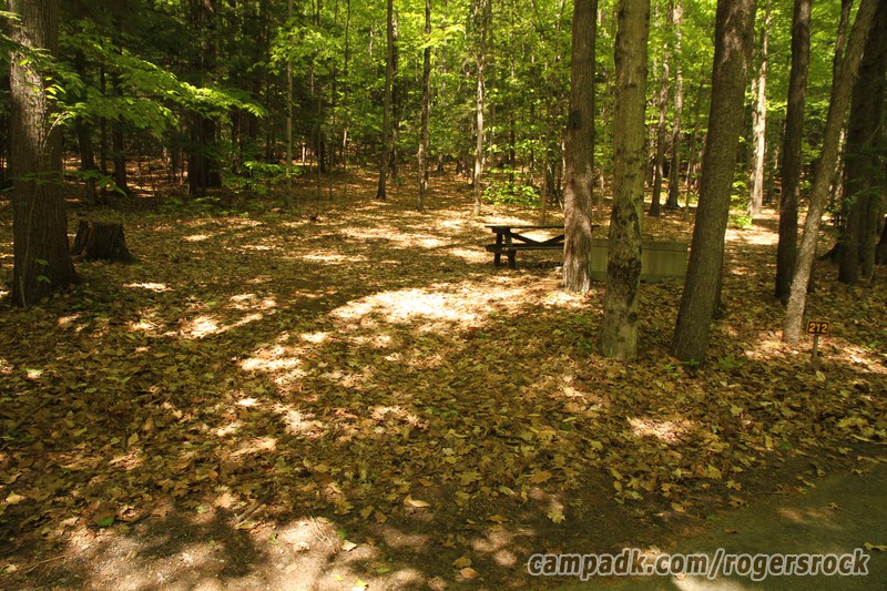 Campsite Photo of Site 212 at Rogers Rock Campground, New York - Looking at Site from Road Sign Visible
