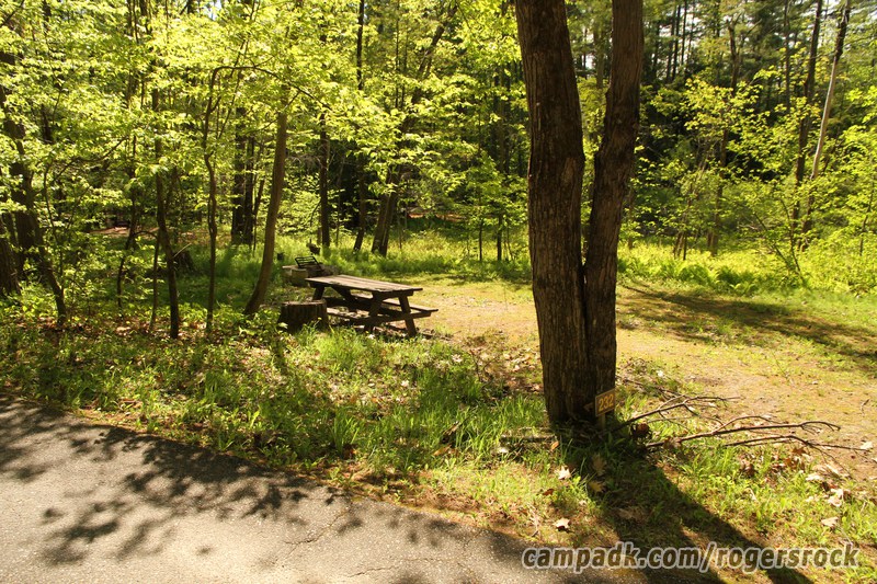 Campsite Photo of Site 232 at Rogers Rock Campground, New York - Looking at Site from Road Sign Visible