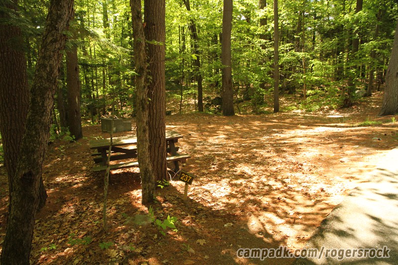 Campsite Photo of Site 237 at Rogers Rock Campground, New York - Looking at Site from Road Sign Visible