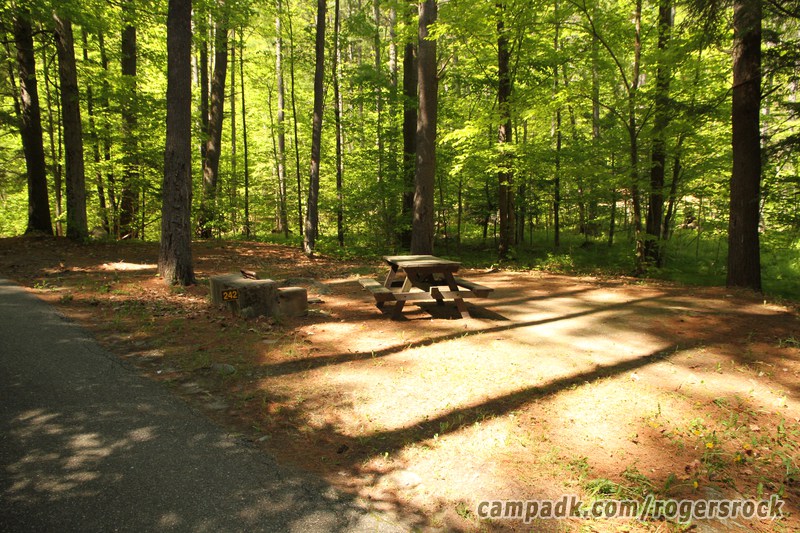 Campsite Photo of Site 242 at Rogers Rock Campground, New York - Looking at Site from Road Sign Visible