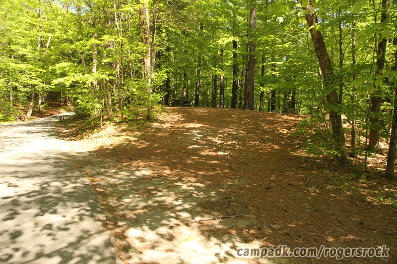 Campsite Photo of Site 177 at Rogers Rock Campground, New York - Looking at Site from Road Sign Visible