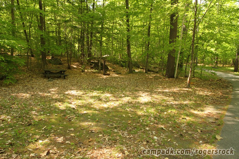 Campsite Photo of Site 265 at Rogers Rock Campground, New York - Looking at Site from Road