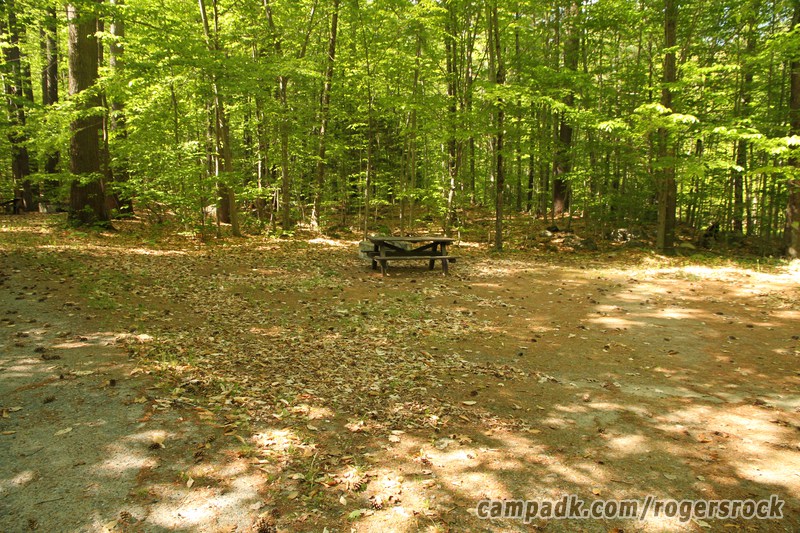 Campsite Photo of Site 275 at Rogers Rock Campground, New York - Looking at Site from Road Sign Visible