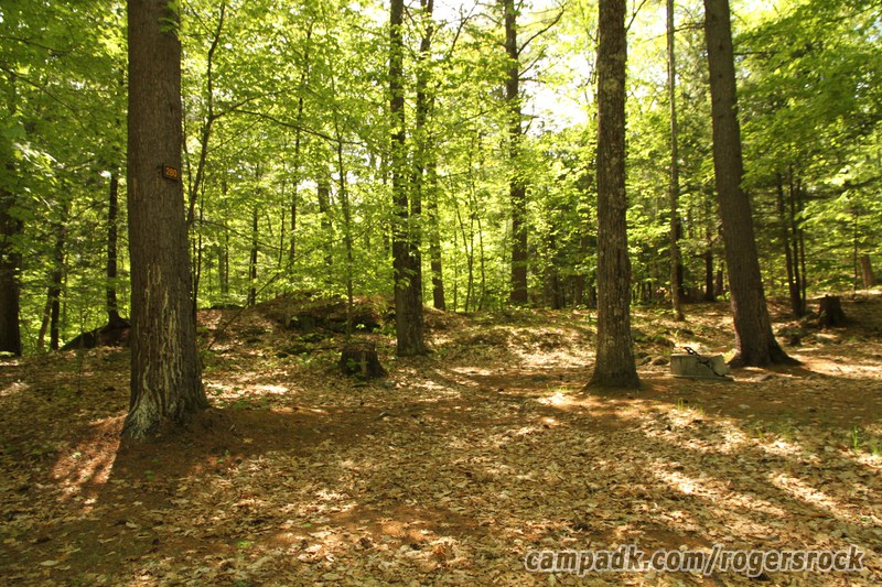 Campsite Photo of Site 280 at Rogers Rock Campground, New York - Looking at Site from Road Sign Visible