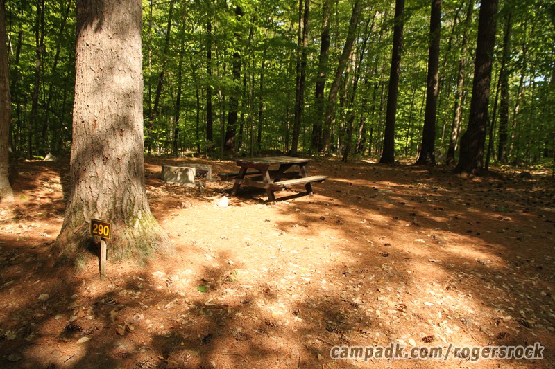 Campsite Photo of Site 290 at Rogers Rock Campground, New York - Looking at Site from Road Sign Visible