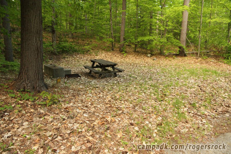 Campsite Photo of Site 295 at Rogers Rock Campground, New York - Looking at Site from Road Sign Visible