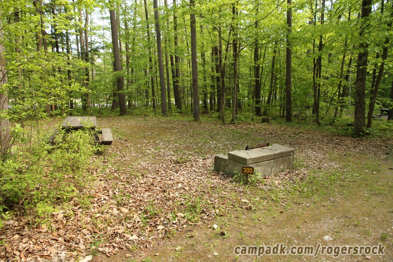 Campsite Photo of Site 300 at Rogers Rock Campground, New York - Looking at Site from Road Sign Visible