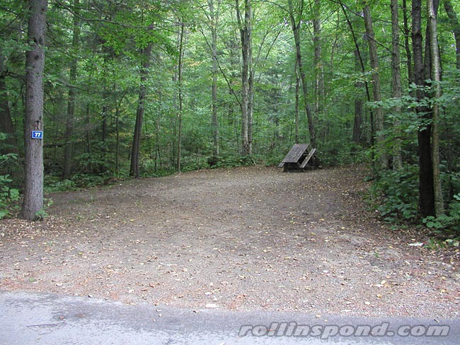 Campsite Photo of Site 77 at Rollins Pond Campground, New York - Looking at Site from Road Sign Visible