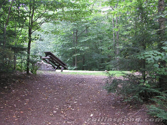 Campsite Photo of Site 119 at Rollins Pond Campground, New York - Looking at Site from Road Sign Visible