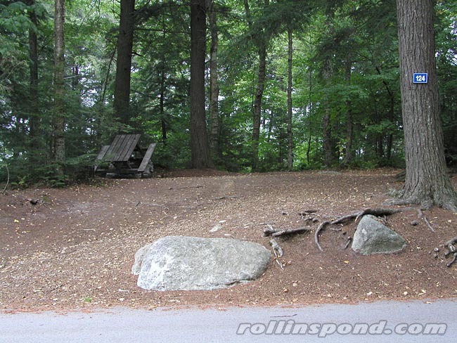 Campsite Photo of Site 124 at Rollins Pond Campground, New York - Looking at Site from Road Sign Visible