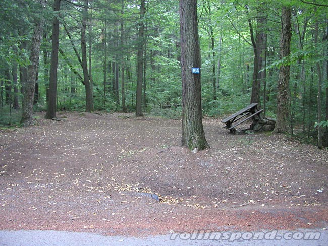 Campsite Photo of Site 164 at Rollins Pond Campground, New York - Looking at Site from Road Sign Visible