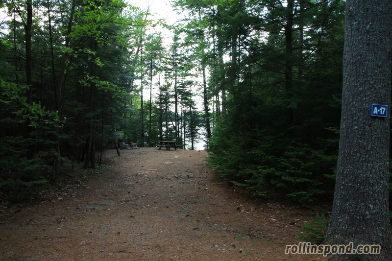 Campsite Photo of Site A17 at Rollins Pond Campground, New York - Looking at Site from Road Sign Visible
