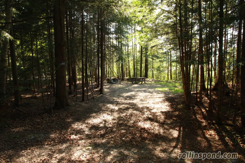 Campsite Photo of Site A12 at Rollins Pond Campground, New York - Looking at Site from Road Sign Visible