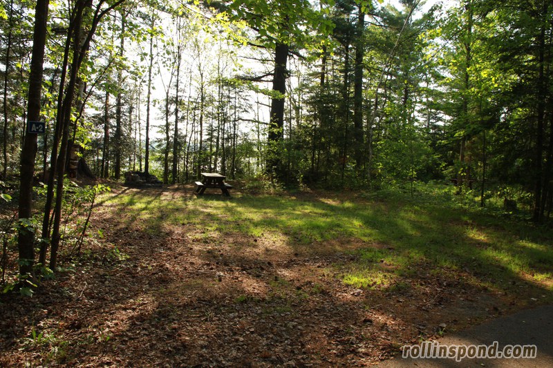 Campsite Photo of Site A2 at Rollins Pond Campground, New York - Looking at Site from Road Sign Visible