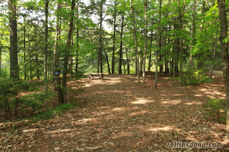 Campsite Photo of Site 62 at Rollins Pond Campground, New York - Looking at Site from Road Sign Visible