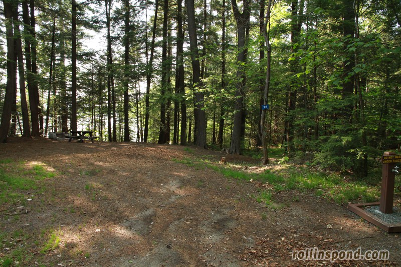 Campsite Photo of Site 72 at Rollins Pond Campground, New York - Looking at Site from Road Sign Visible