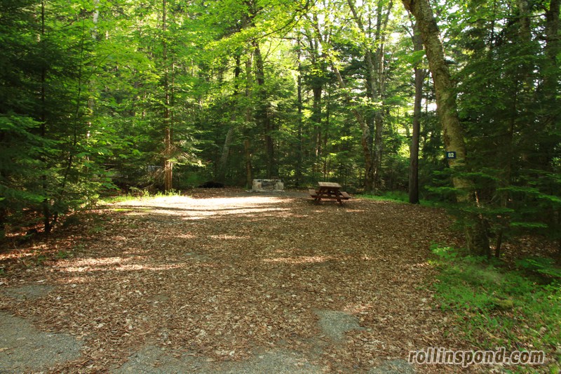 Campsite Photo of Site 82 at Rollins Pond Campground, New York - Looking at Site from Road Sign Visible