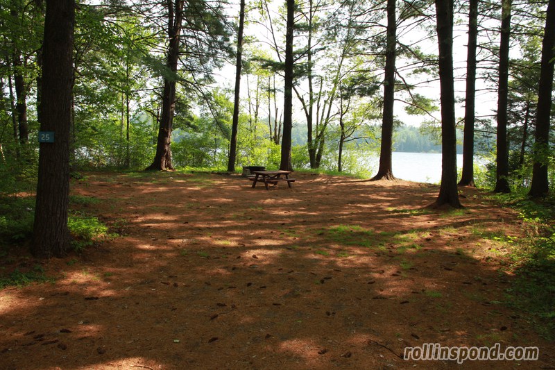 Campsite Photo of Site 25 at Rollins Pond Campground, New York - Looking at Site from Road Sign Visible