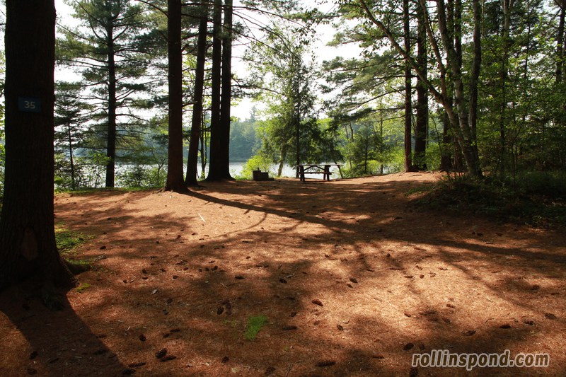 Campsite Photo of Site 35 at Rollins Pond Campground, New York - Looking at Site from Road Sign Visible
