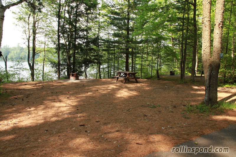 Campsite Photo of Site 40 at Rollins Pond Campground, New York - Looking at Site from Road Sign Visible