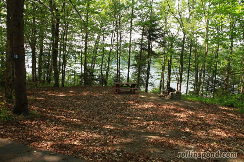 Campsite Photo of Site 45 at Rollins Pond Campground, New York - Looking at Site from Road Sign Visible
