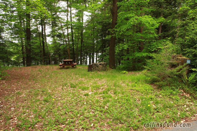 Campsite Photo of Site 103 at Rollins Pond Campground, New York - Looking at Site from Road Sign Visible