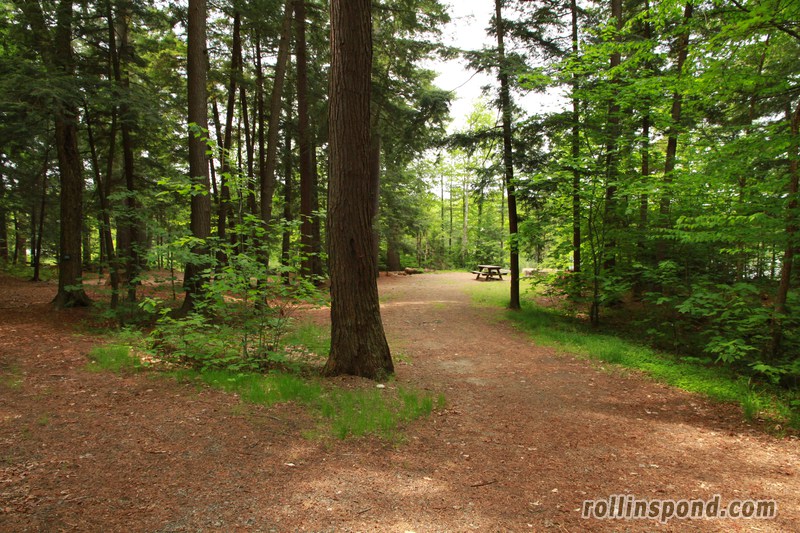 Campsite Photo of Site 109 at Rollins Pond Campground, New York - Looking at Site from Road Sign Visible